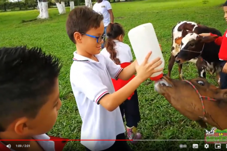 Captura de pantalla 2022-09-03 a las 7.20.22 p.m.